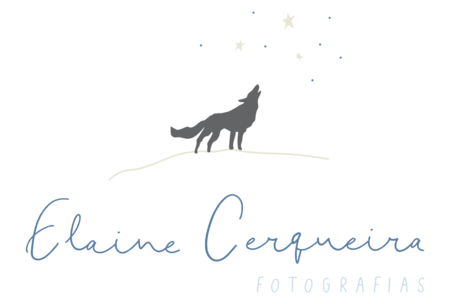 Logo de Fotografo infantil, festa infantil, Florianópolis, 15 anos , Elaine Cerqueira