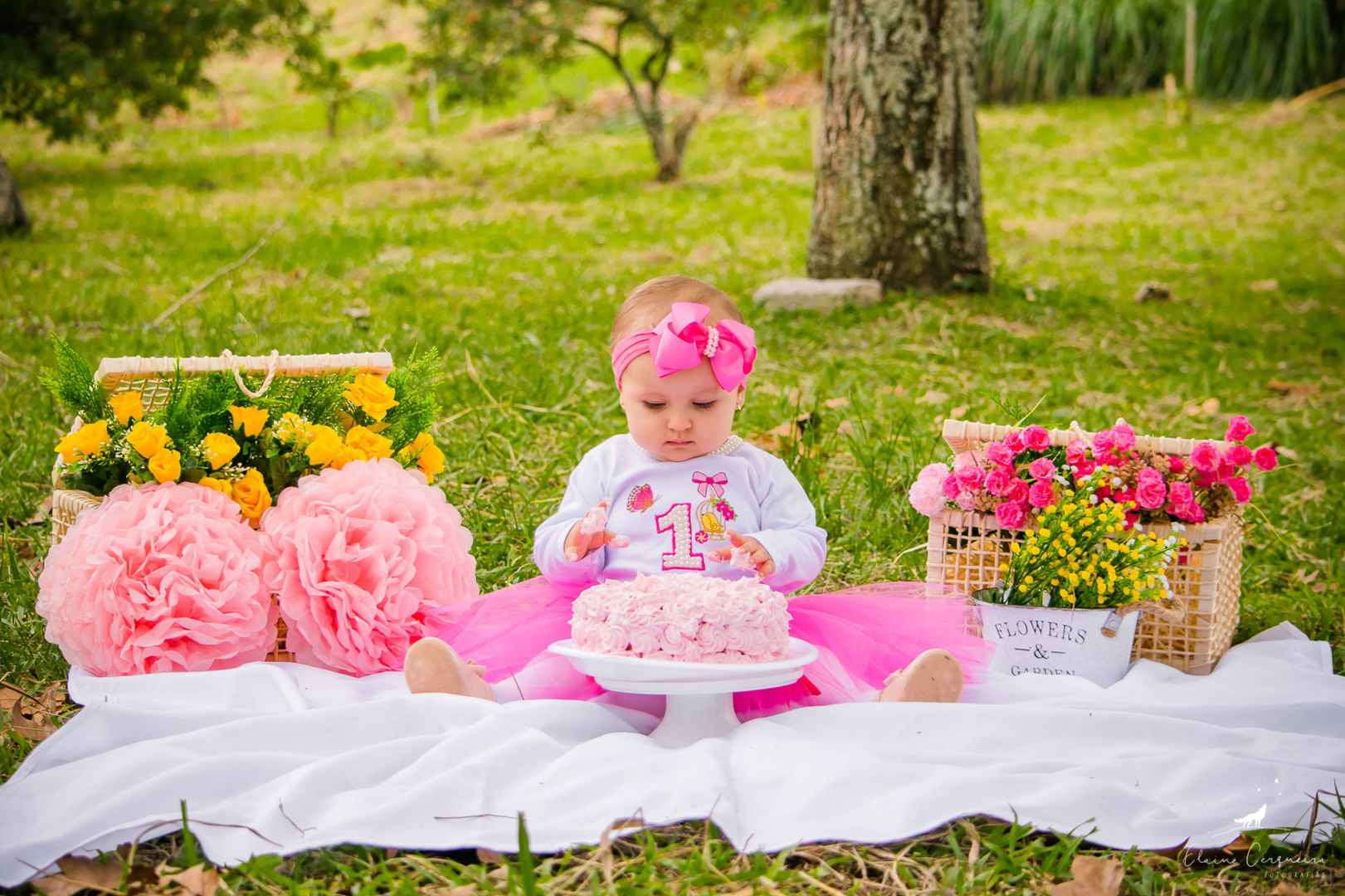Ensaio Infantil (Smash the Cake) - Isadora (40)