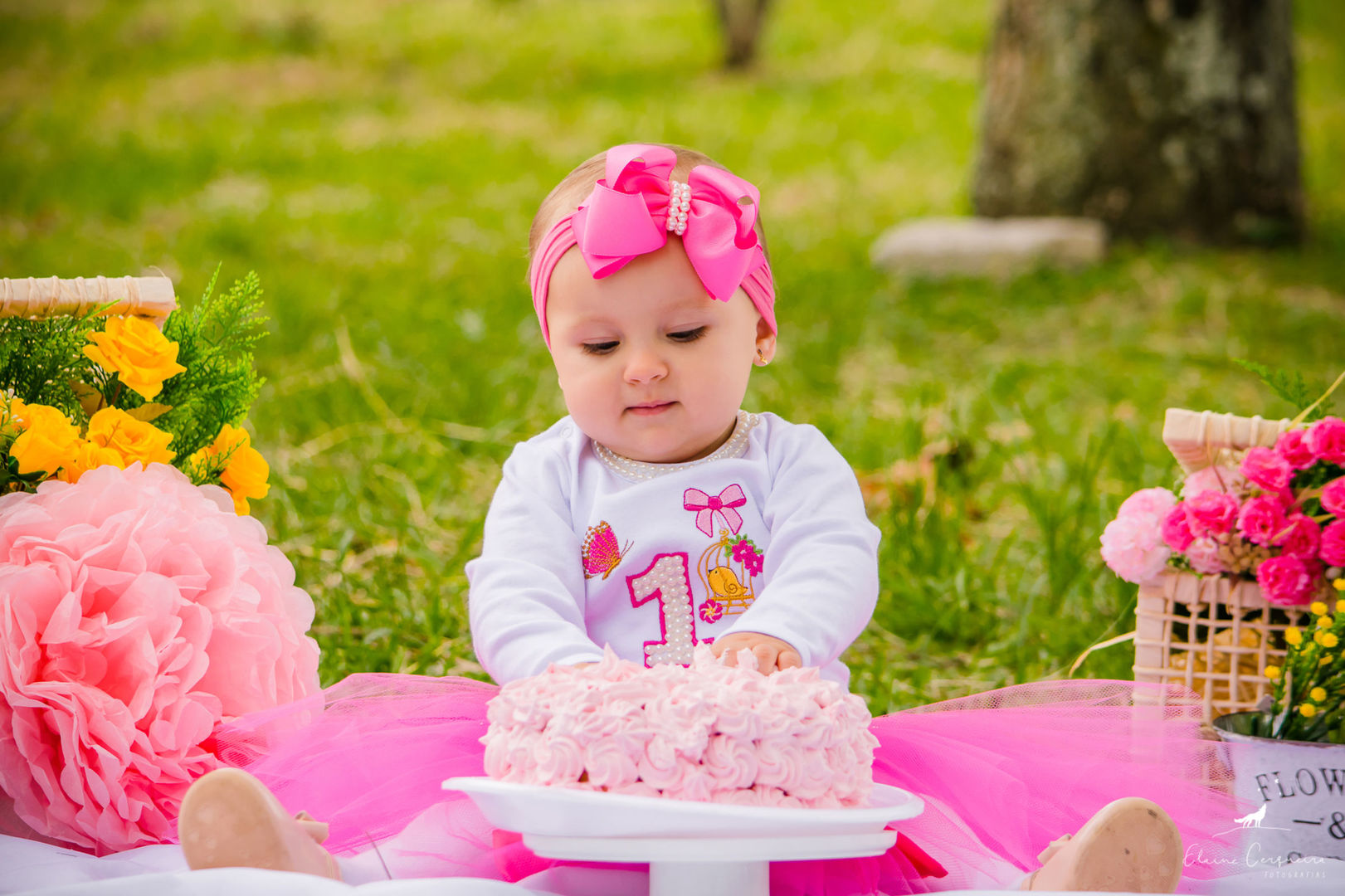 Ensaio Infantil (Smash the Cake) - Isadora (42)