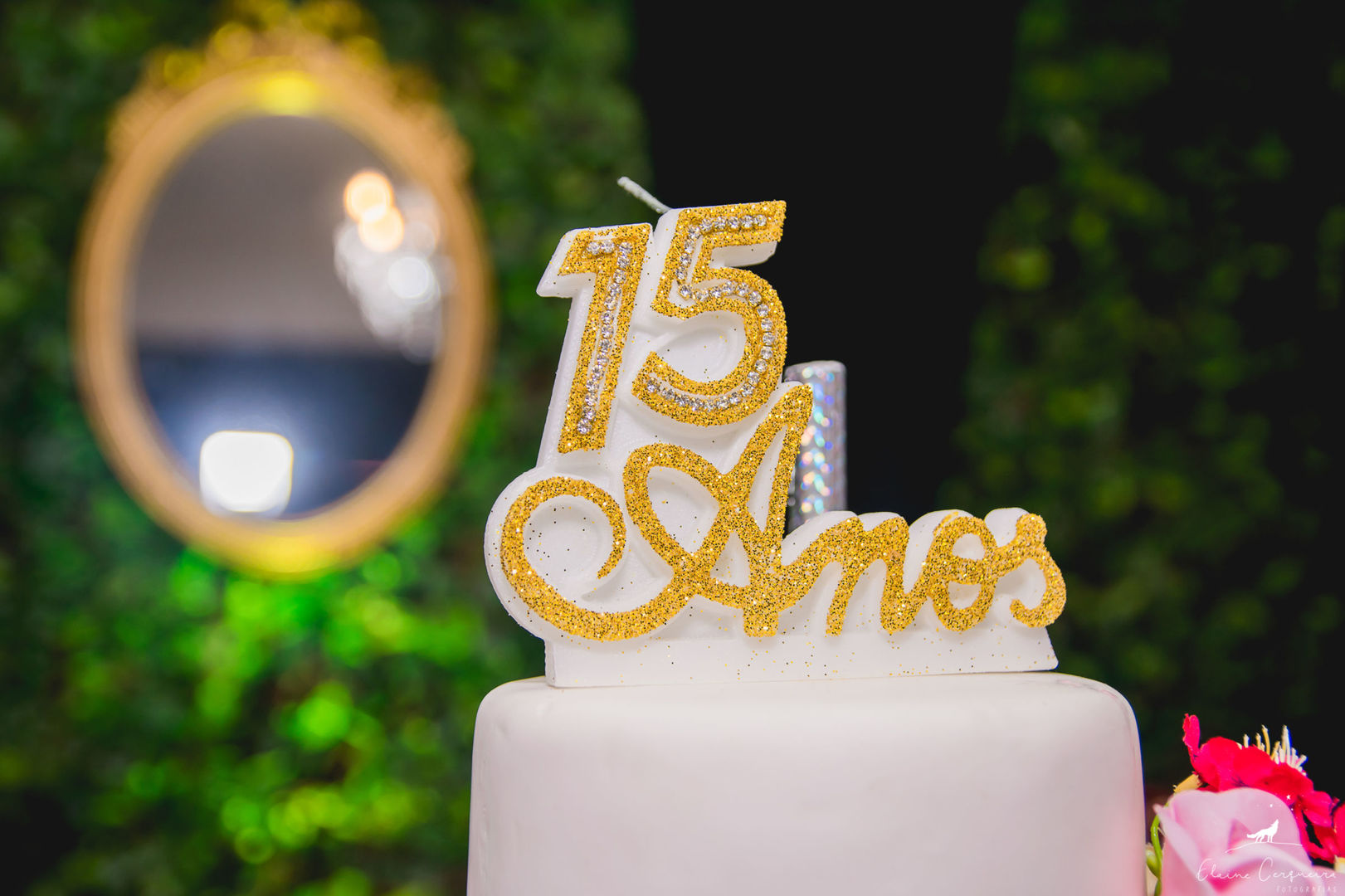 Aniversário - 15 anos - Sofia (3)