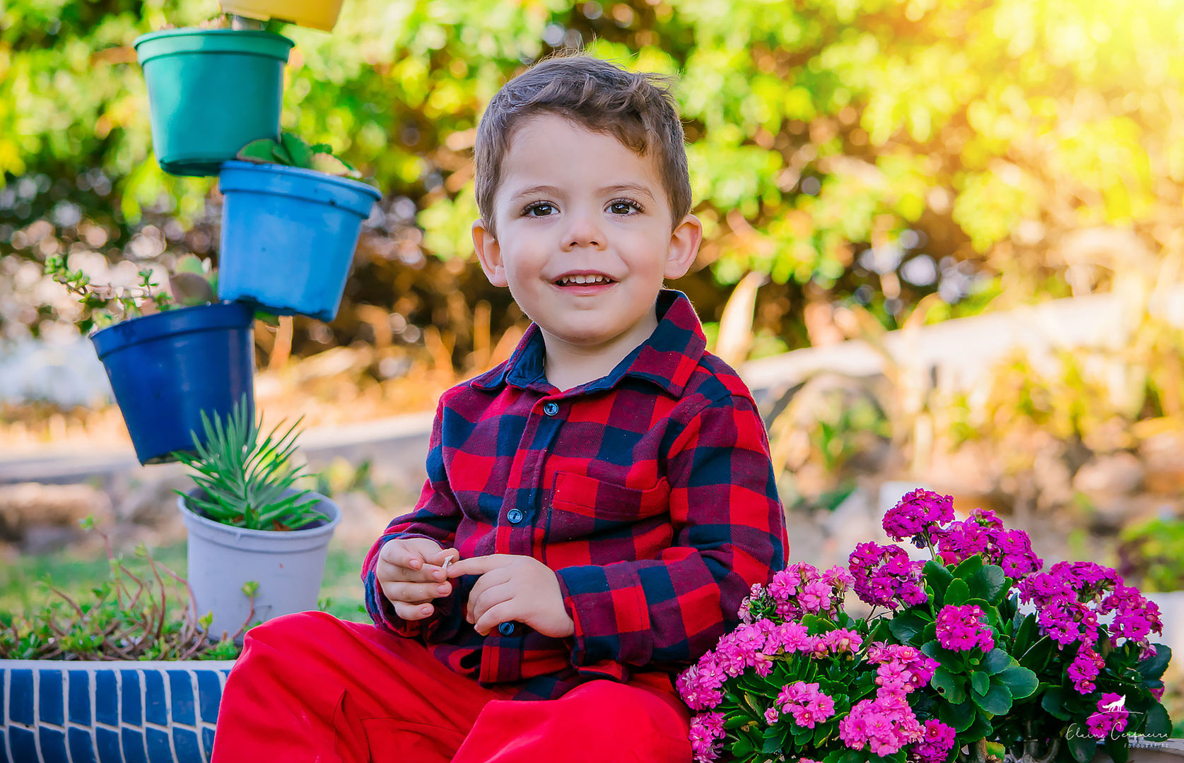 Ensaio Infantil - Davi - 3 anos (15)