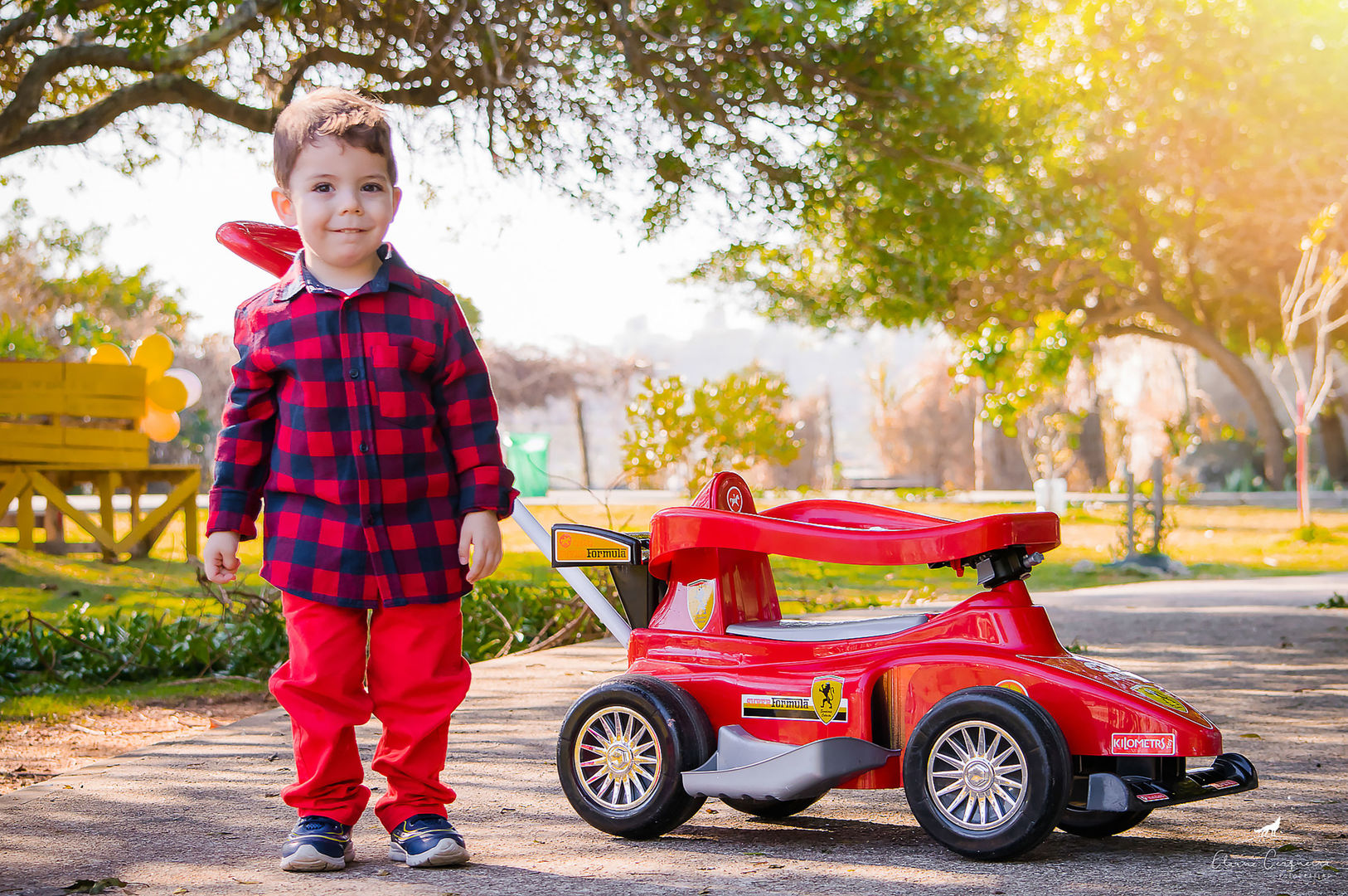 Ensaio Infantil - Davi - 3 anos (7)