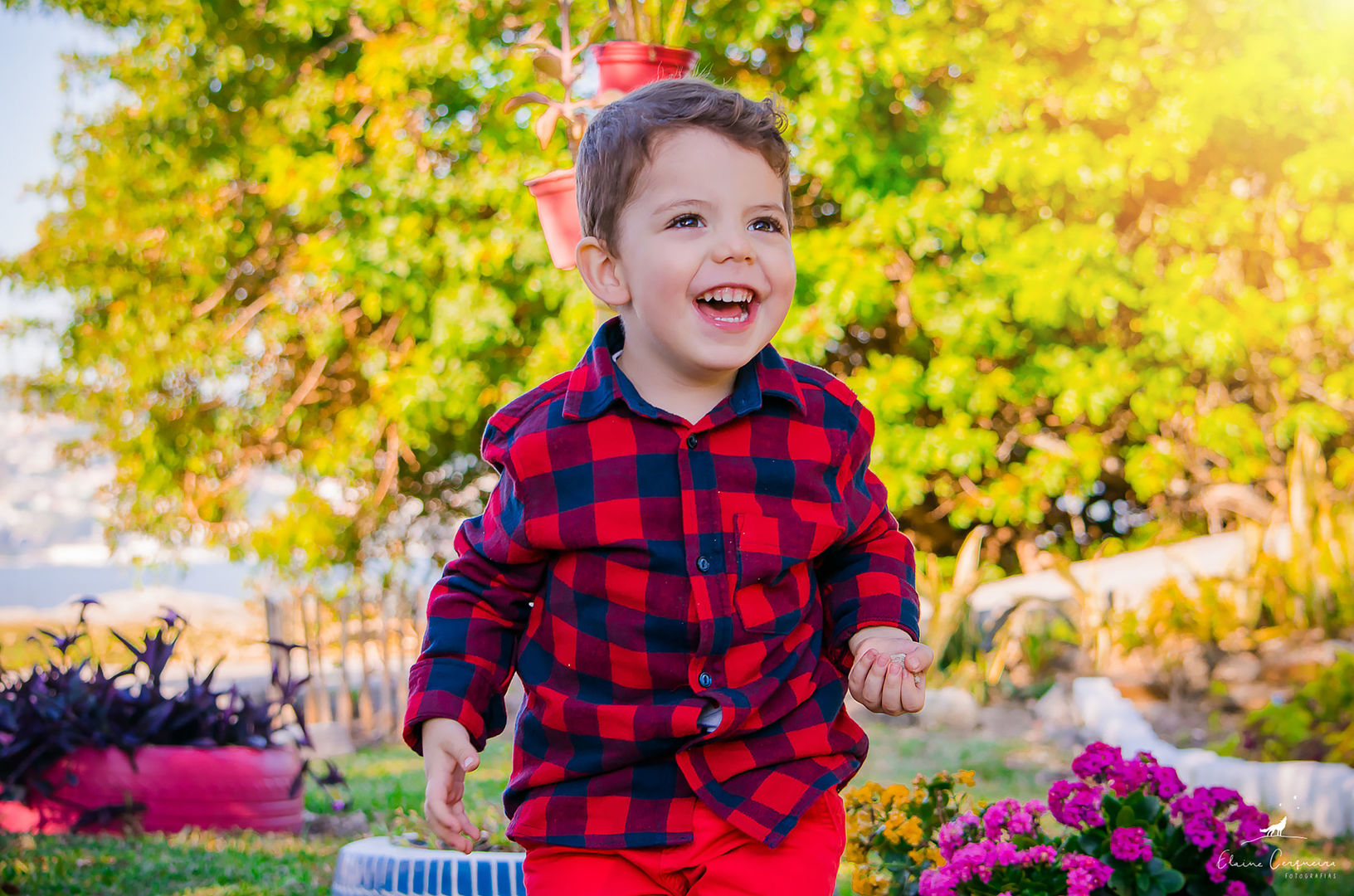 Ensaio Infantil - Davi - 3 anos (9)