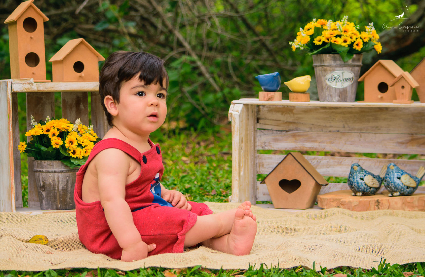 Foto Ensaio Infantil {Théo} - 1 aninho - Parque de Coqueiros Foto Ensaio Infantil {Théo} - 1 aninho - Parque de Coqueiros - Imagem 9