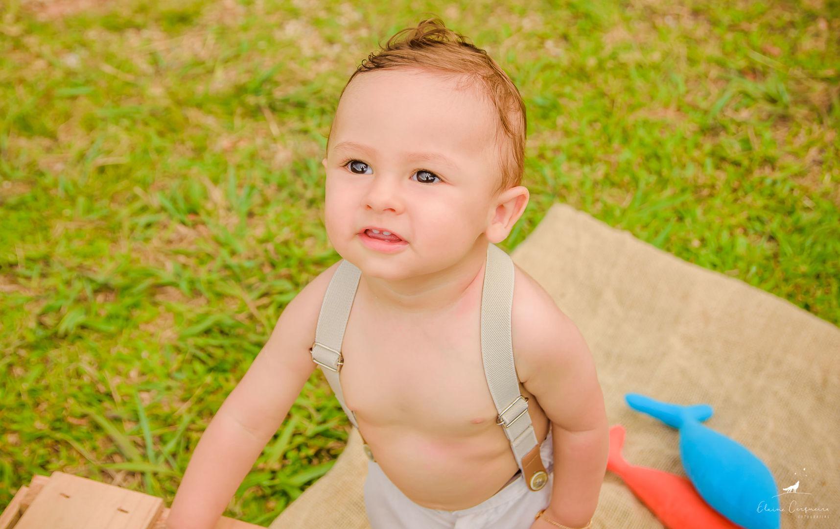 Foto Ensaio Infantil {Miguel} - 1 aninho - Parque de Coqueiros - Fotógrafa de Família Foto Ensaio Infantil {Miguel} - 1 aninho - Parque de Coqueiros - Fotógrafa de Família - Imagem 6