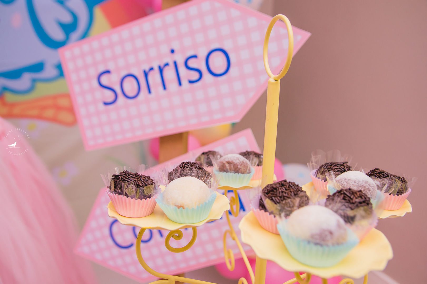 Foto Festa Infantil {Heloisa} - 2 anos - São José - Fotógrafa de Família Foto Festa Infantil {Heloisa} - 2 anos - São José - Fotógrafa de Família - Imagem 8